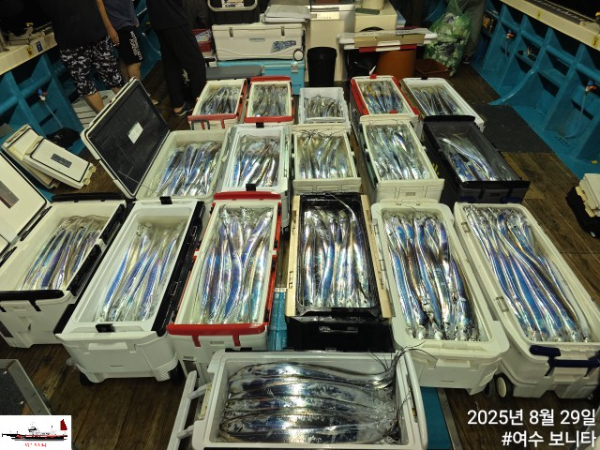 d22c09ac97c9c56bff3ad07531349491.jpg