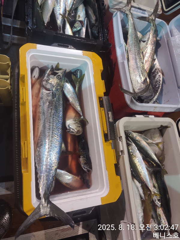 KakaoTalk_20250818_071445358_04.jpg