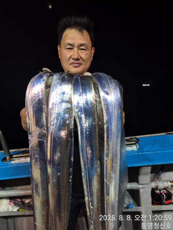 통영청신호입니다_사진_20250808_9.jpg