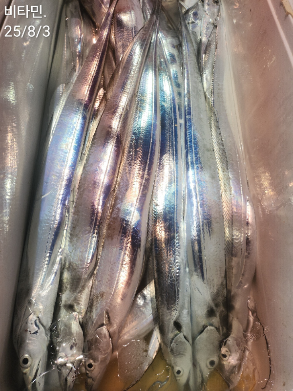 1000051831.jpg