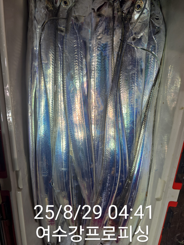 d2e3dc18be5a0191a6e7eaad3546e163.jpg
