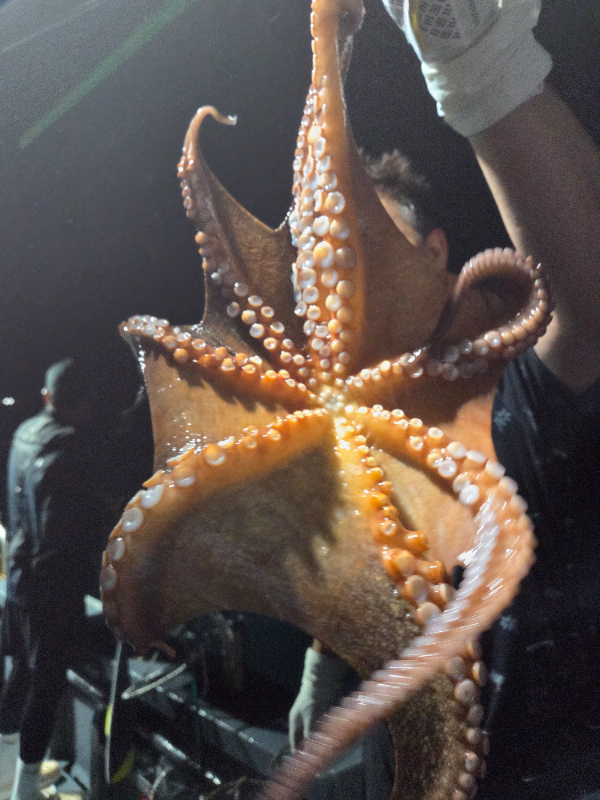 20250801_230901.jpg