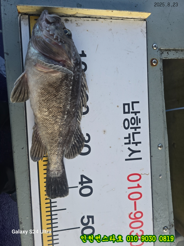 8월23 썬 (15).jpg