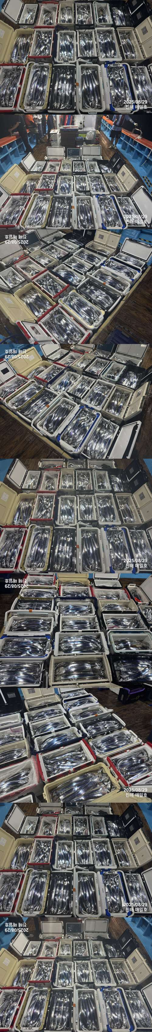 갈치4.jpg