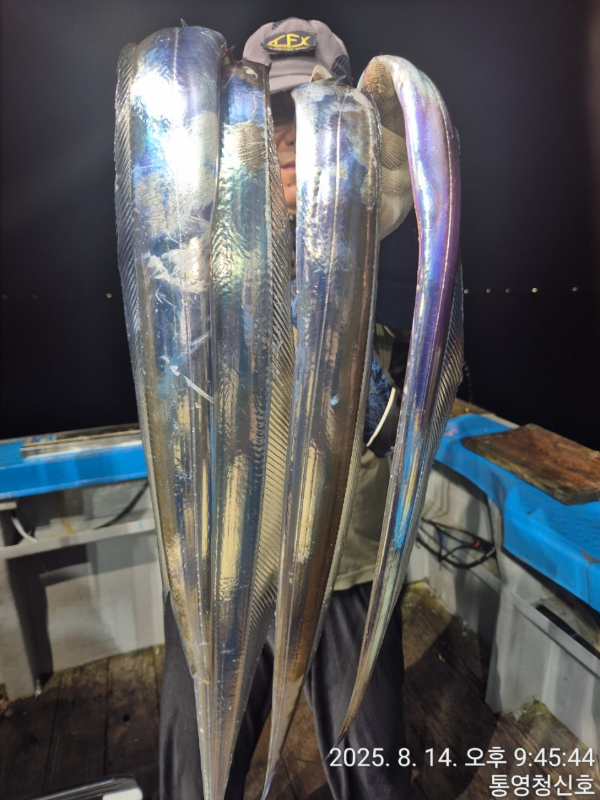 바다의 전설 부평25_사진_20250815_9.jpg