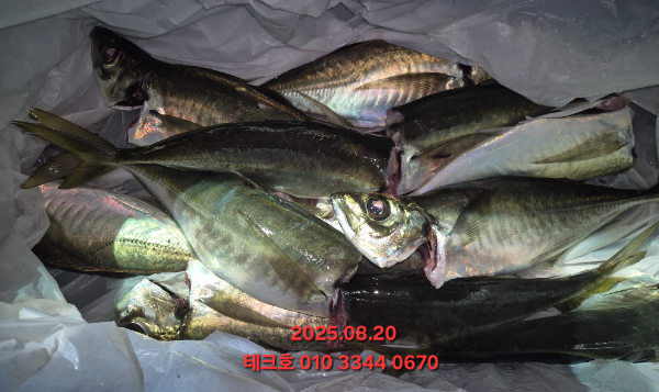 KakaoTalk_20250821_065613978_10.jpg