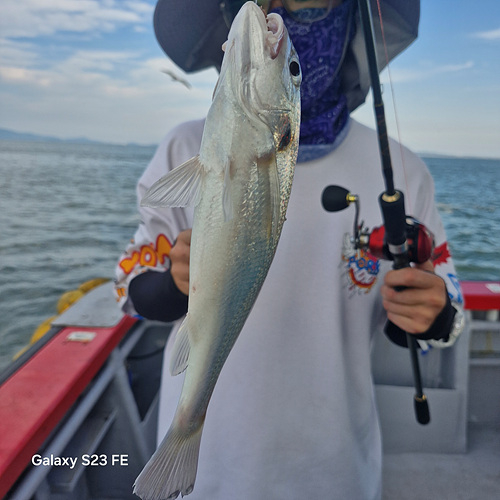 인천쭈꾸미낚시 (9).jpg