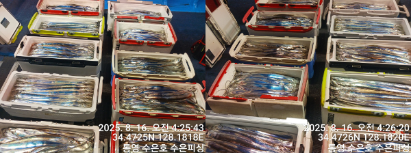 1755291207761-tile.jpg