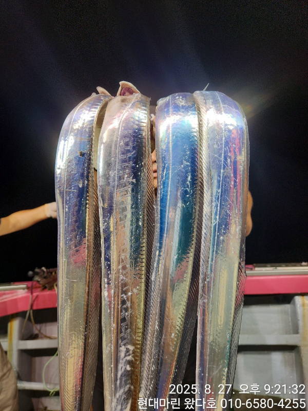 BandPhoto_2025_08_28_12_14_22_7.jpg