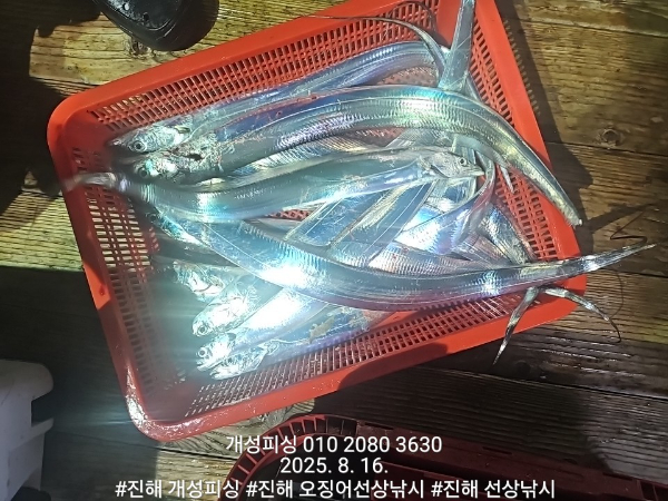 d60121fd4bb212307ef4222de74a107c.jpg