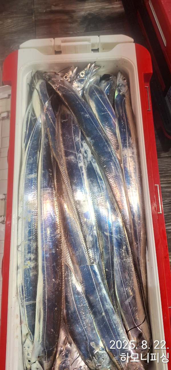 1755812588516.jpg