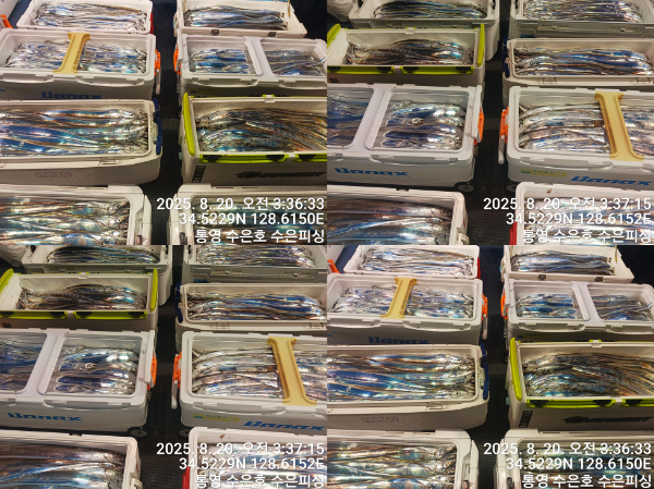 1755635894646-tile.jpg