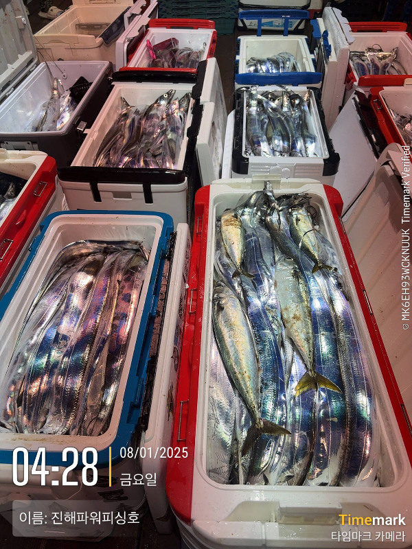 2025-08-01 04.28.00_(이름-진해파워피싱호).jpeg