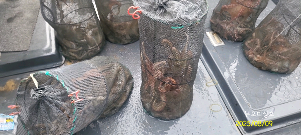DateCamera0809074053.jpg
