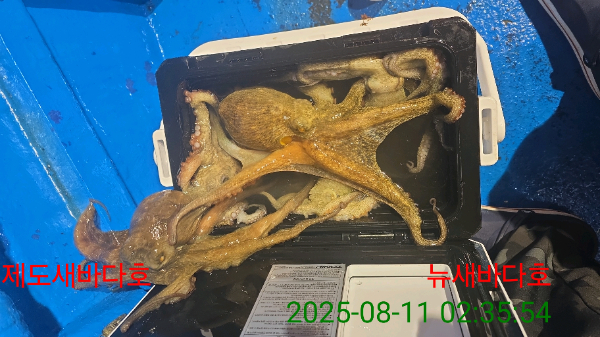 d76a560e59c1b8ed45b0d151ca1a0a27.jpg