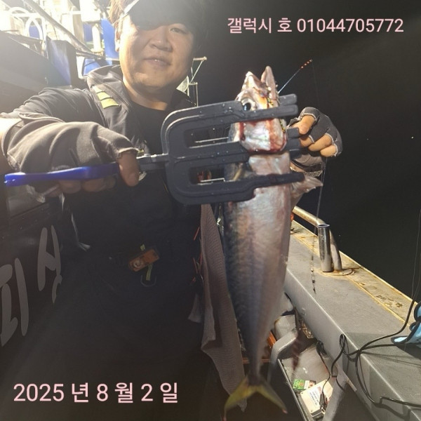 군산 선상낚시, 바다낚시 출조 전문 ☆서군산낚시☆_사진_20250803_20.jpg
