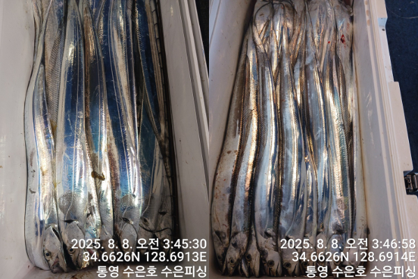 1754597691348-tile.jpg