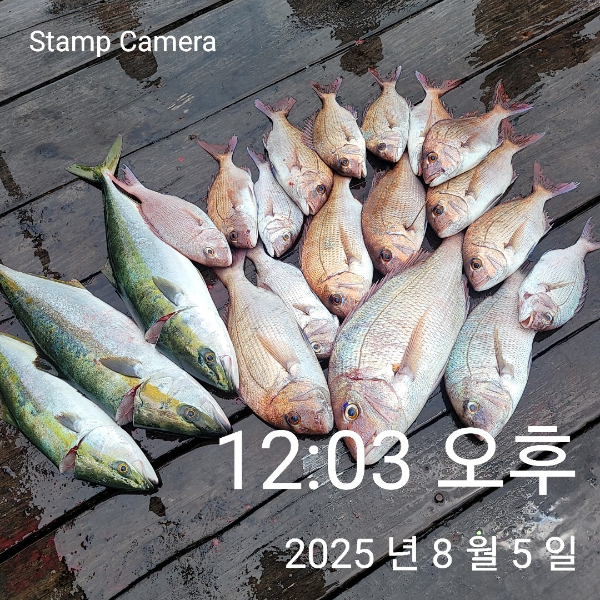 StampCamera20250805120300.jpg