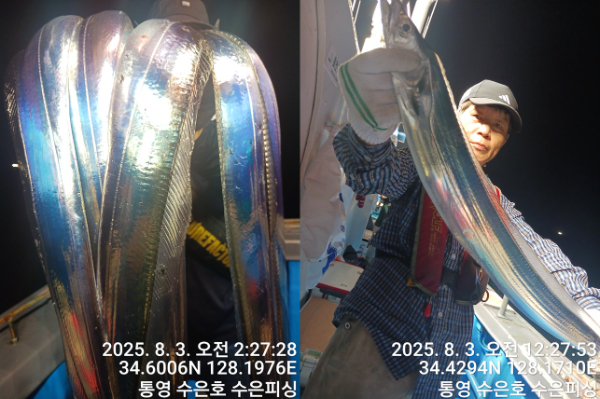 1754165647739-tile.jpg
