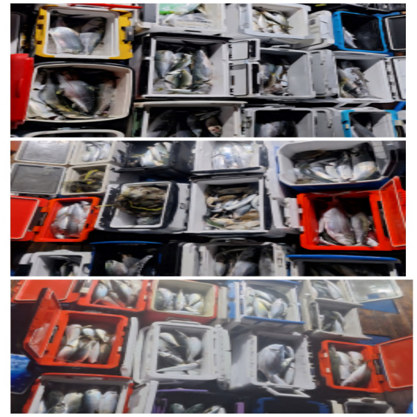 d91fec509bcd731a18147a9cf11d1e4c.jpg