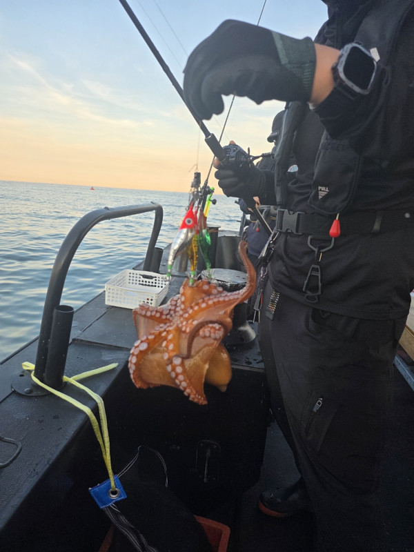 KakaoTalk_Photo_2025-08-31-19-12-01 010.jpeg