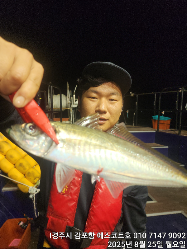 d9507ec008d9dc16d7596f6260fbb363.jpg