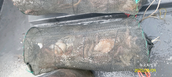 DateCamera0809074143.jpg