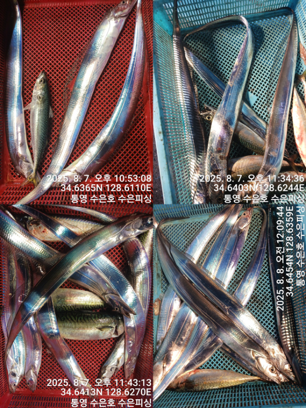 1754597727299-tile.jpg