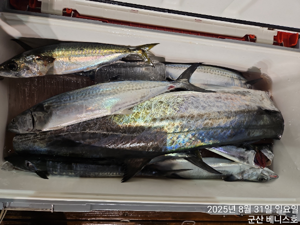 KakaoTalk_20250831_034722265_04.jpg