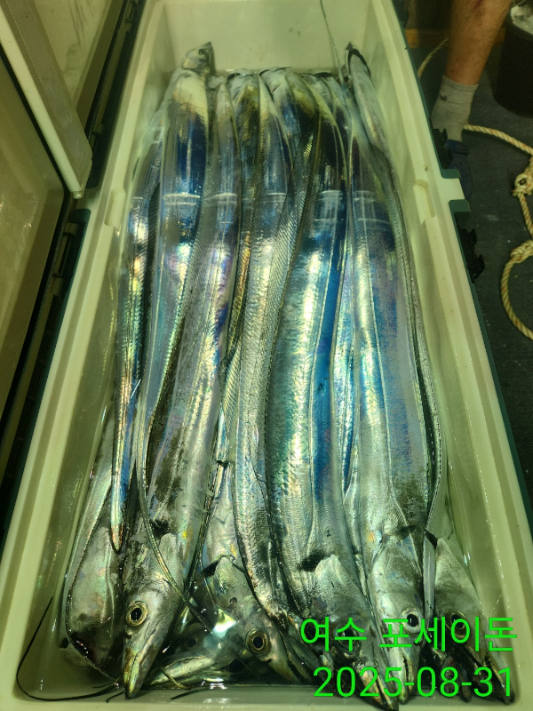 d9fc608e88056e373b5f6faf020af240.jpg