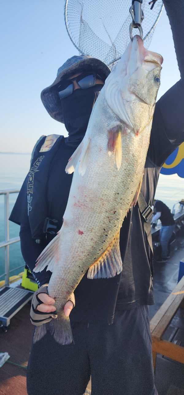 예지퀸호 농어외수질&어초낚시 경기인천권_사진_20250730_8.jpg