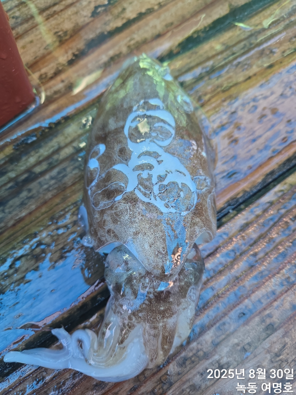 da7c548b4b2885b9acf6f1aaa9eda6d3.jpg