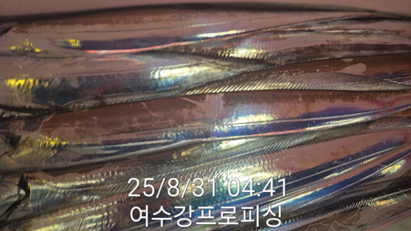 daaf8433623ff765dab8051ee252280d.jpg
