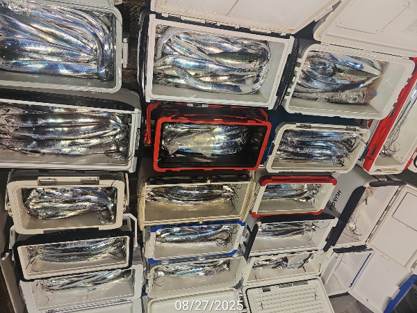 F054D9D8-7589-474E-80E7-F654BA157E86.jpeg