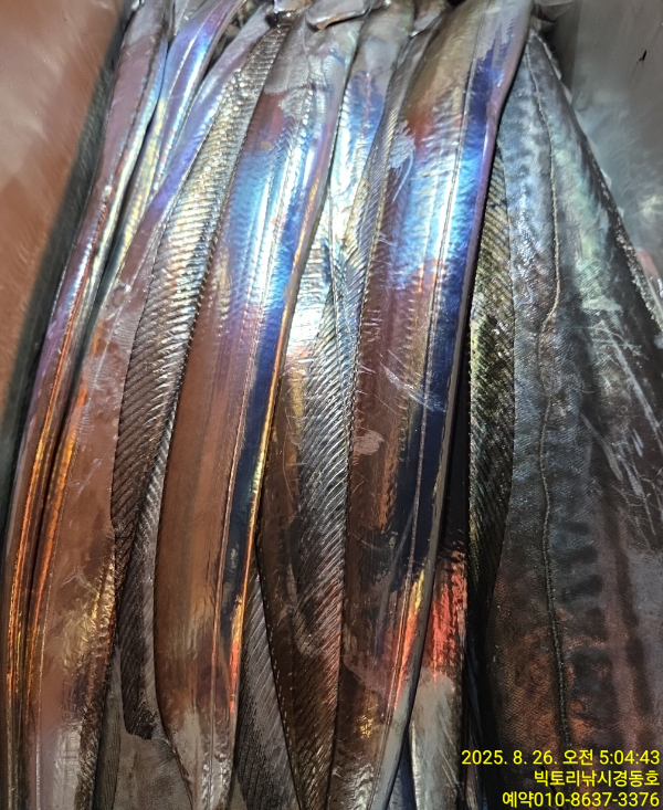 1756161295817.jpg