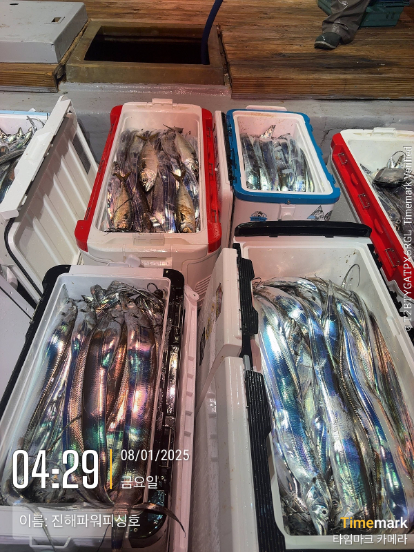 2025-08-01 04.29.11_(이름-진해파워피싱호).jpeg