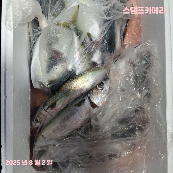 KakaoTalk_20250802_135732285_06.jpg