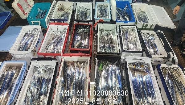 dbce95bbd7bab793c4dc969b97e52ce9.jpg