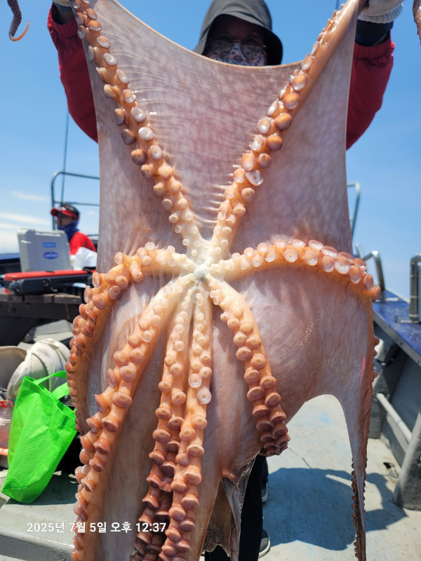 BandPhoto_2025_08_04_16_26_48.jpg