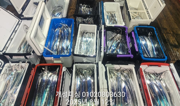 dc3d1144ead6775c29455991ae5275bc.jpg