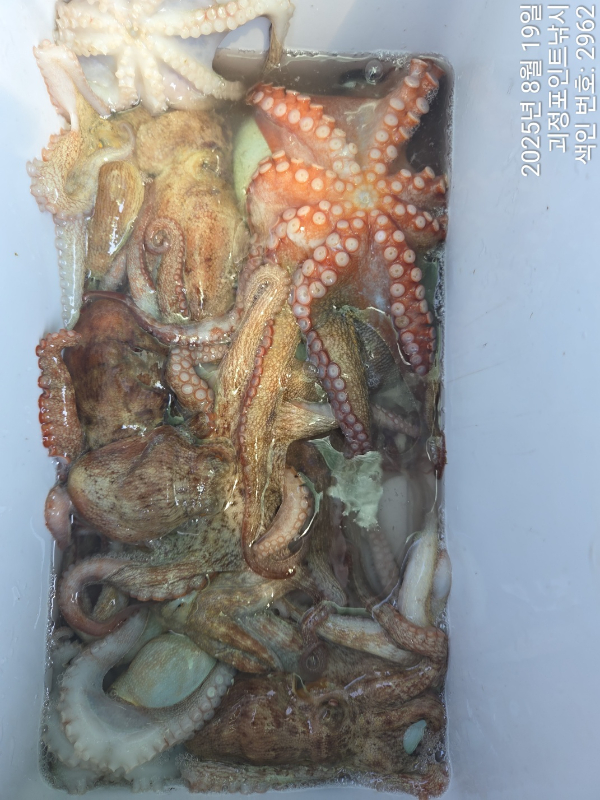 KakaoTalk_20250819_151201795_10.jpg
