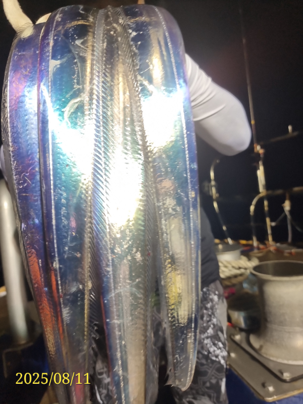 20250811_050753.jpg