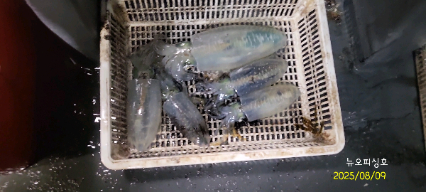 DateCamera0809003339.jpg