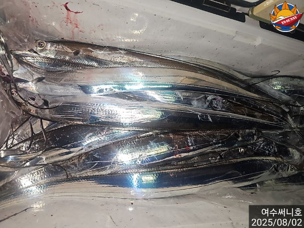 dd22e47bec990a48632d00220938c98e.jpg