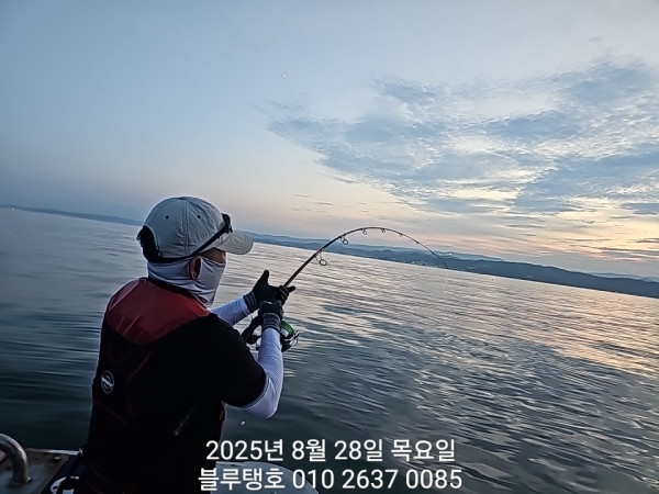 20250828_190049.jpg