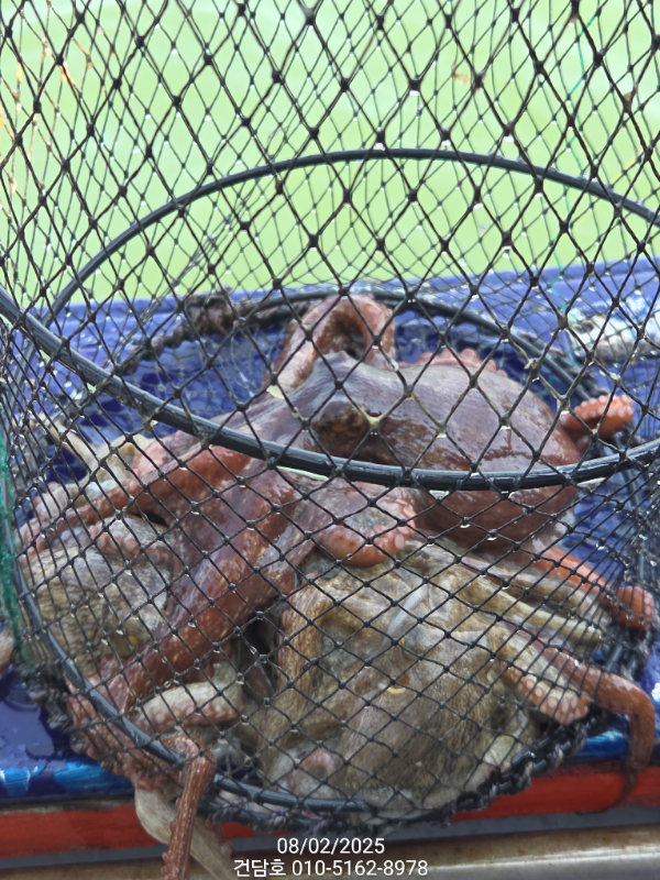 dd5d478c077508fa7548b0ae15626ba1.jpg