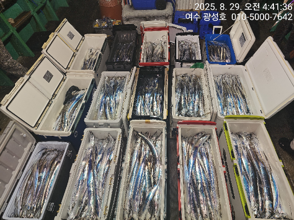 KakaoTalk_20250829_181212955_19.jpg