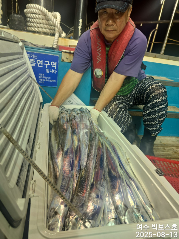 ♡ 여수 빅보스 ♡문어,갑오징어,쭈꾸미,타이라바(참돔)_사진_20250813_11.jpg