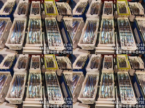 1755453055854-tile.jpg