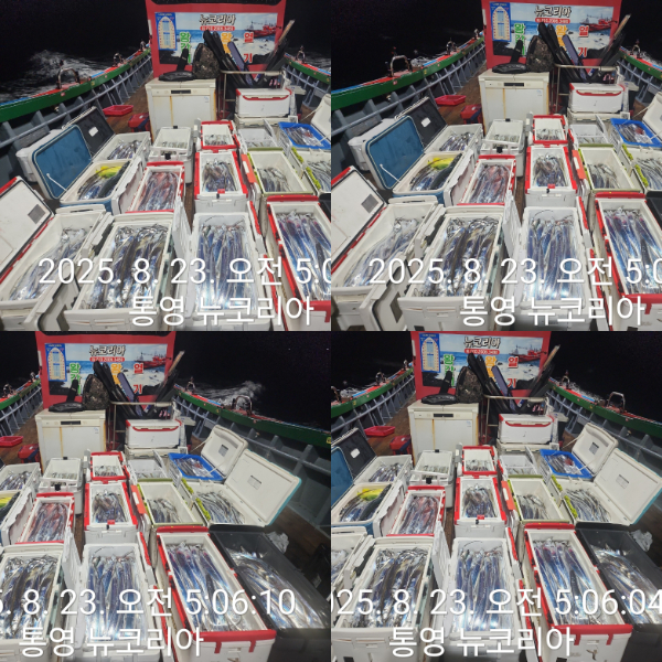 1000070224.jpg